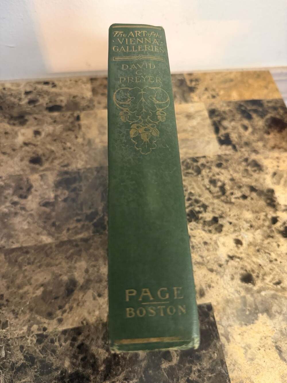 The Art of the Vienna Galleries by David C. Preyer (1911)